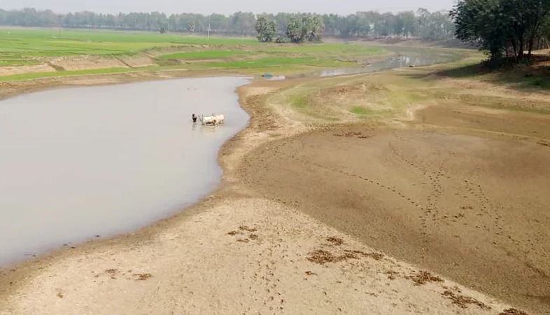 বরেন্দ্র অঞ্চলে জলবায়ু সংকট প্রশমনে বনায়নে গুরুত্বারোপ বিশেষজ্ঞদের