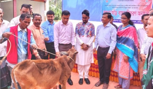 নেত্রকোনায় ক্ষুদ্র নৃগোষ্ঠীর ৮০টি পরিবারের মধ্যে গরু বিতরণ