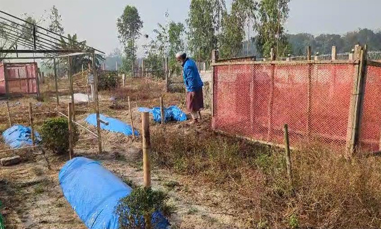 মুন্সীগঞ্জে বিভিন্ন কবরস্থান থেকে ২৮ টি কংকাল ও মাথার খুলি চুরি 