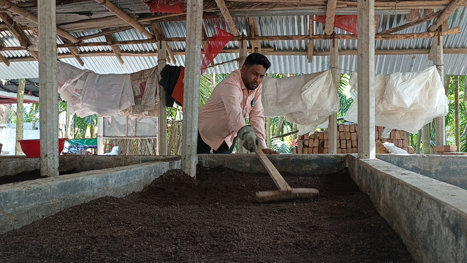 লক্ষ্মীপুরের কৃষিতে নতুন মাত্রা যোগ করেছে শাহজাহানের কেঁচো সার