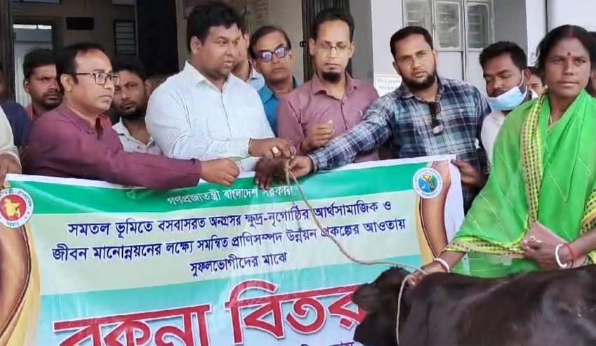 দিনাজপুরে ক্ষুদ্র নৃ-গোষ্ঠির ব্যক্তিদের মধ্যে বিনামূল্যে গরু বিতরণ  