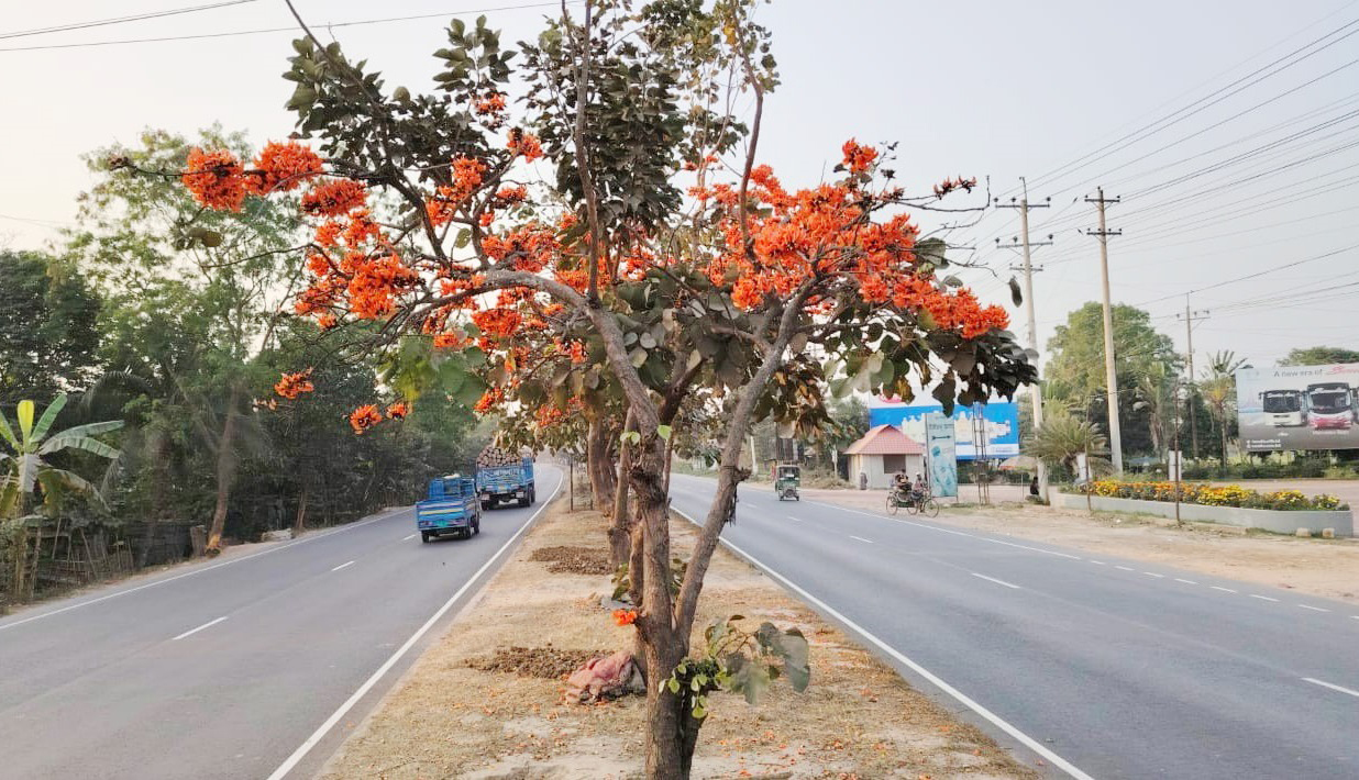 ঢাকা-চট্টগ্রাম মহাসড়কে ঈদ যাত্রীদের ভোগান্তি কমাতে ১২ হটস্পটে বিশেষ ব্যবস্থা