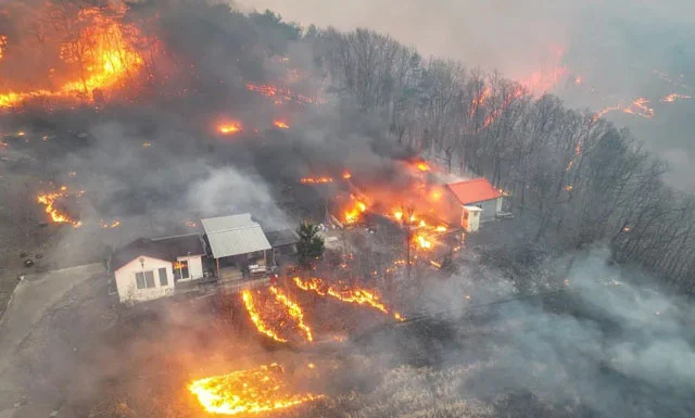 দক্ষিণ কোরিয়ায় ভয়াবহ দাবানলে ১৮ জনের মৃত্যু: কর্তৃপক্ষ