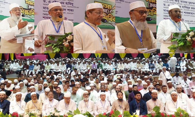 প্রয়োজনীয় সংস্কার শেষে নির্বাচনী রোডম্যাপ ঘোষণা করুন : মিয়া গোলাম পরওয়ার