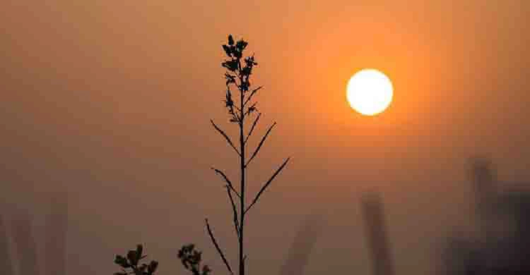 দিন ও রাতের তাপমাত্রা অপরিবর্তিত থাকতে পারে