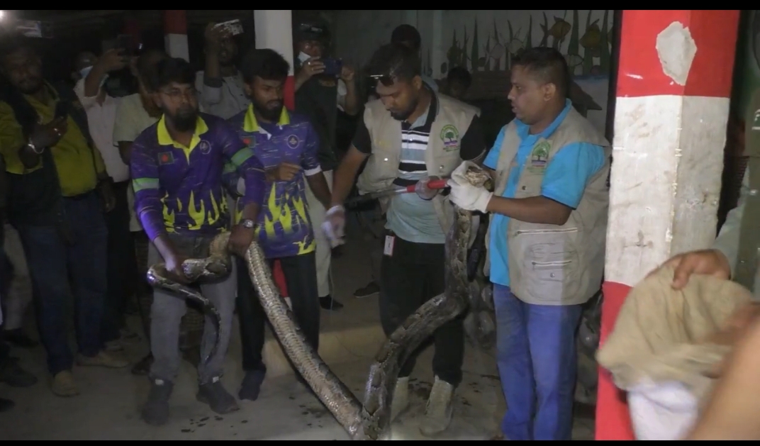 শেরপুরের ঝিনাইগাতীর মিনি চিড়িয়াখানা থেকে ১৭টি বন্যপ্রাণী উদ্ধার