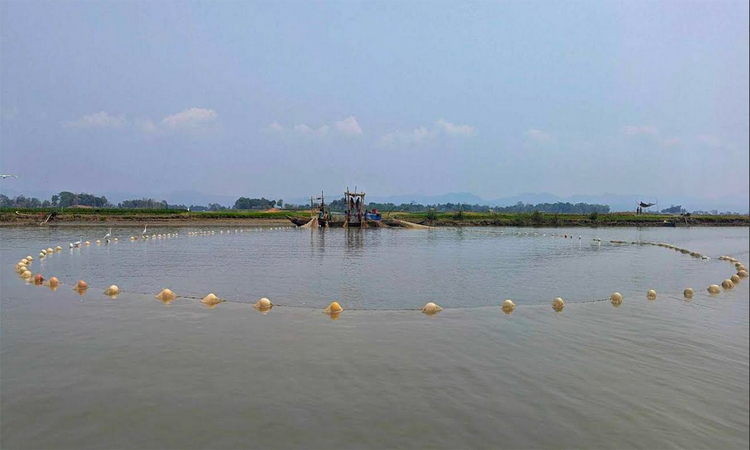 কাপ্তাই হ্রদে মৎস্য আহরণে তিন মাসের নিষেধাজ্ঞা