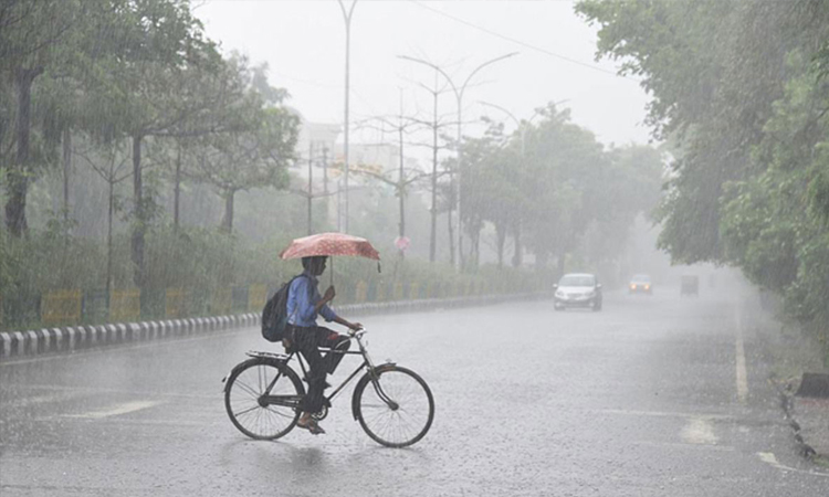 দেশের ৮ বিভাগে বৃষ্টির সম্ভাবনা