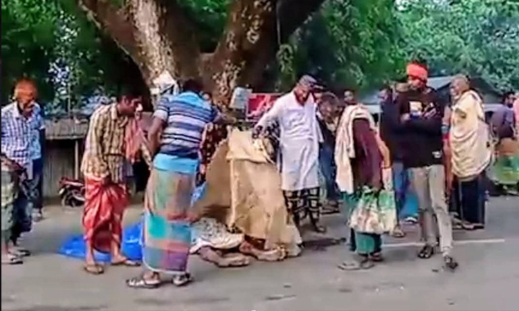 চুয়াডাঙ্গার নয় মাইল বাজারে বাসের ধাক্কায় পাখি ভ্যানের চালকসহ  ২ জন নিহত