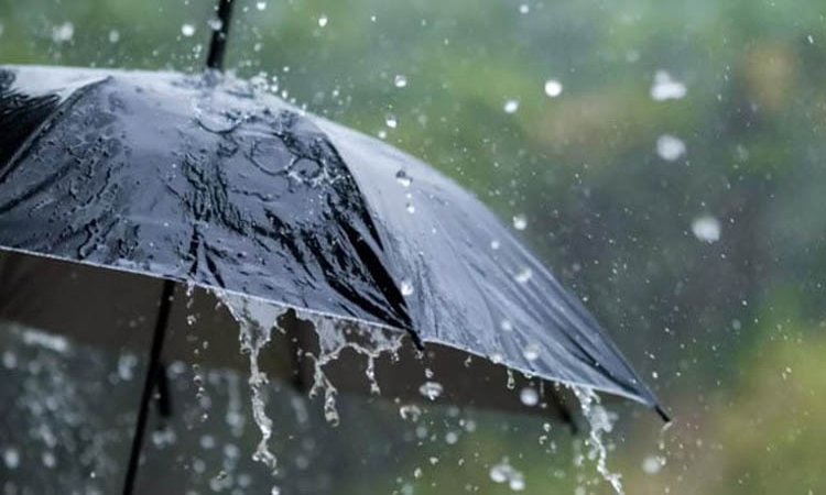 দেশের বিভিন্ন স্থানে বৃষ্টি হতে পারে