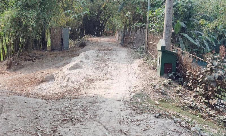 বর্ষা আসলেই বাঁধ ভাঙে, শঙ্কায় তিস্তা পারের মানুষ, দ্রুত বেড়িবাঁধ সংস্কারের দাবি রংপুরবাসীর