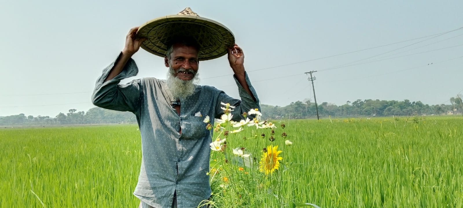 যশোরে কীটনাশক ছাড়াই ইকো ইঞ্জিনিয়ারিং প্রযুক্তিতে ধান উৎপাদনে সাফল্য