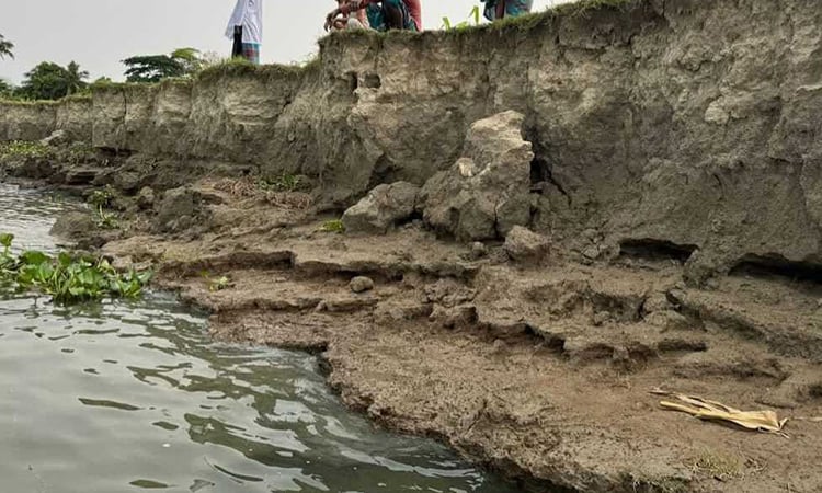 ব্রাহ্মণবাড়িয়ায় মেঘনা নদীতে আবারও ভাঙন শুরু, স্থায়ী বাঁধ নির্মাণের দাবি