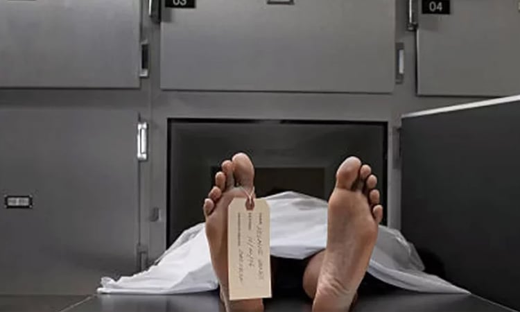 নড়াইলে সড়ক দুর্ঘটনায় সিএনজি চালিত অটোরিকশার চালক নিহত