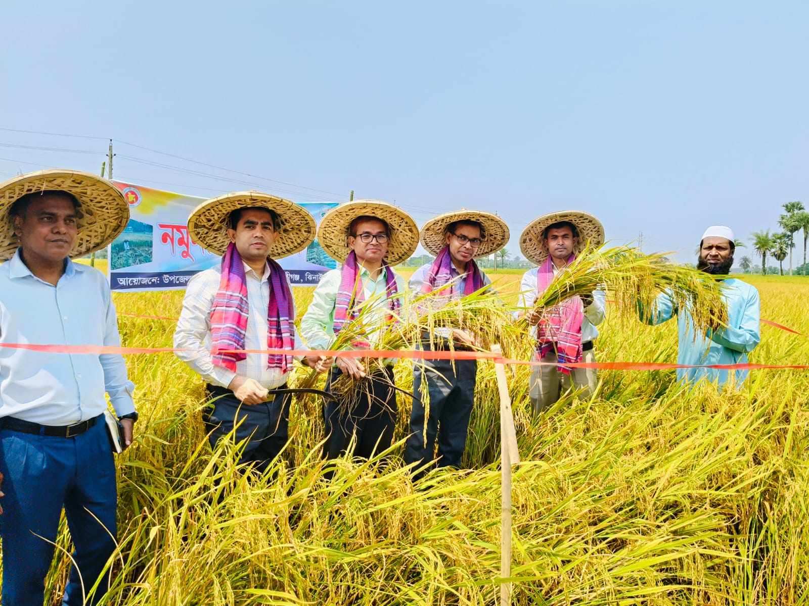 ঝিনাইদহে বোরো ধান কাটা উদ্বোধন করলেন ডিসি