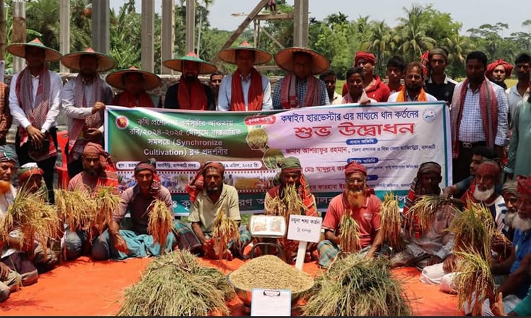 ঝালকাঠিতে কম্বাইন্ড হার্ভেস্টার মেশিনে ধান কাটার উদ্বোধন