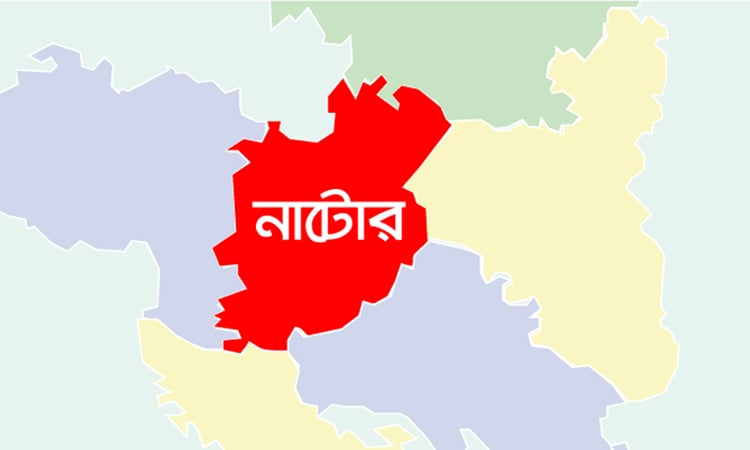 নাটোরে গাছ থেকে পড়ে শিশুর মৃত্যু