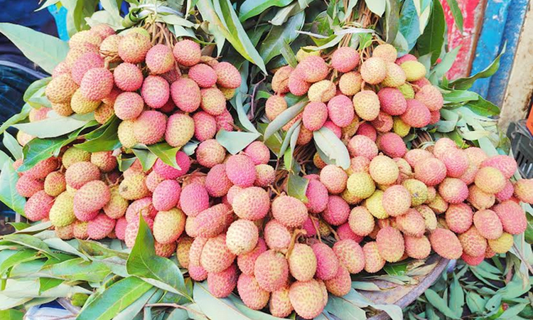 আড়তজুড়ে আম-লিচুর ঘ্রাণ, সরগরম বাদামতলি বাজার