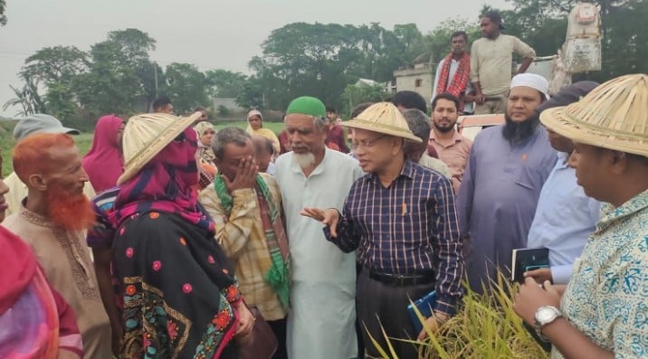 গাজীপুরে কম্বাইন হারভেস্টারে সমলয়ের বোরো ধান কাটা উৎসব 