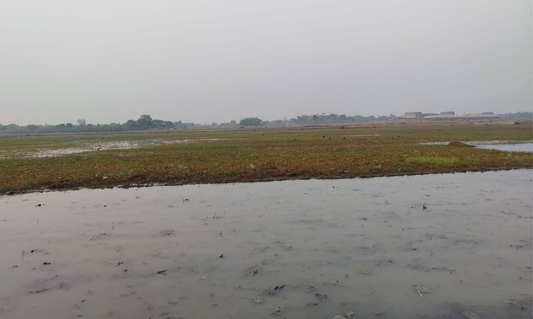 প্রথমবারের মতো ‘জলাভূমি নির্ভর প্রাণী অভয়ারণ্য’ ঘোষণা করলো সরকার