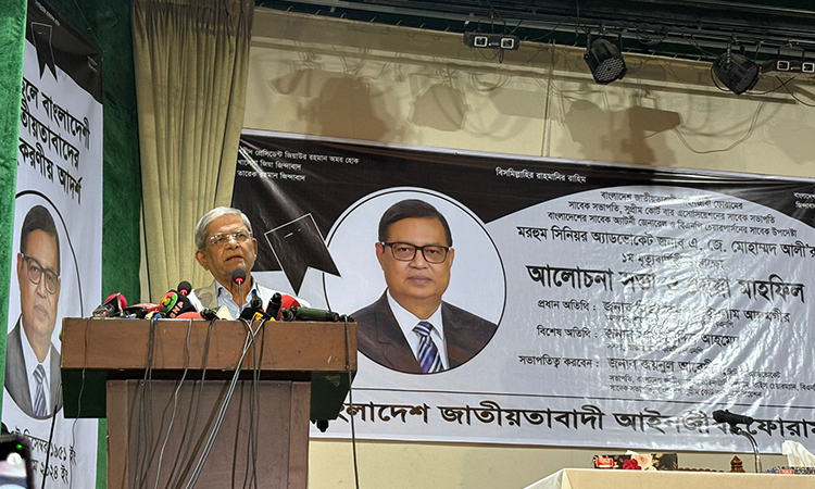 আমরা অন্তবর্তীকালীন সরকারের সাফল্য চাই: মির্জা ফখরুল