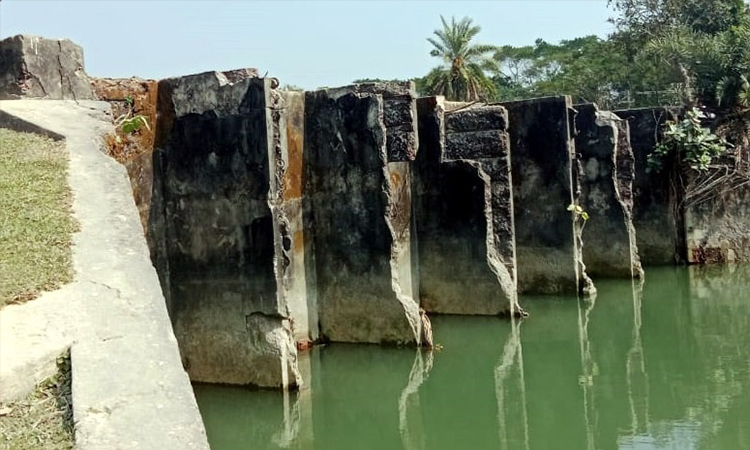 পটুয়াখালীর কলাপাড়ায় অধিকাংশ স্লুইসগেট অকেজো, কৃষিকাজে বিপর্যয়ের শঙ্কা