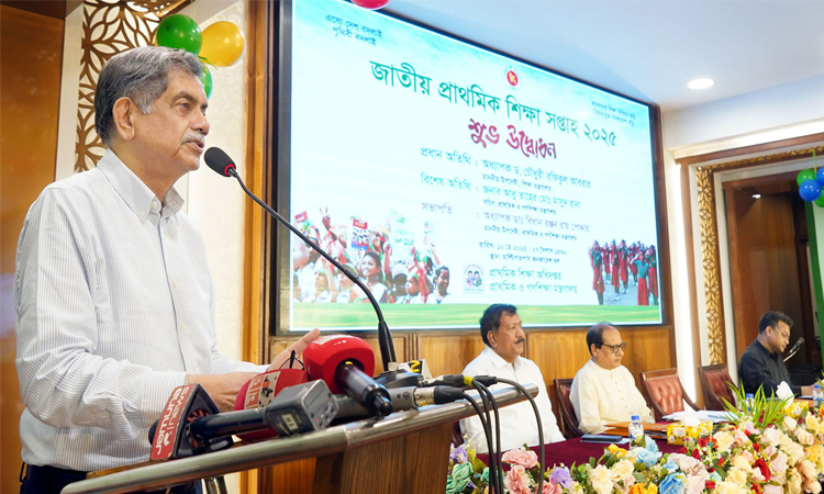 সরকারের সীমিত সময়ে মানসম্মত শিক্ষা নিশ্চিত করতে যার যার অবস্থান থেকে কাজ করতে হবে: শিক্ষা উপদেষ্টা