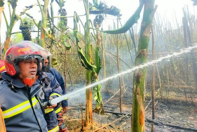 মধ্যরাতে তিন কৃষকের পানের বরজ আগুনে পুড়ে ছাই