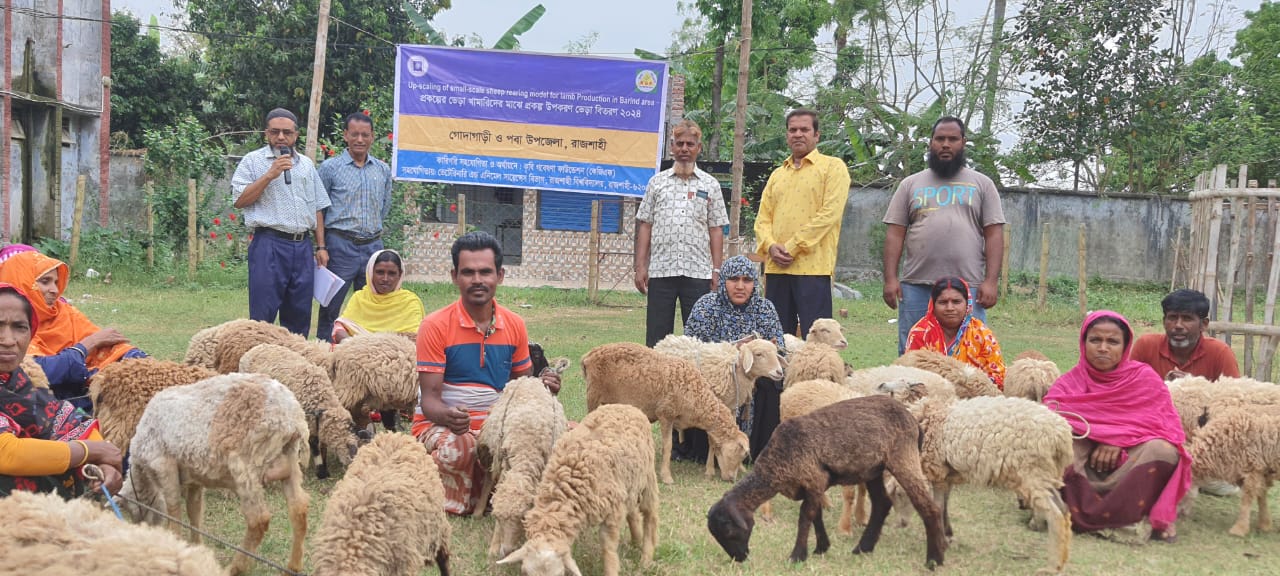ভেড়া পালন করে স্বপ্নপূরণের পথে রাজশাহীর নারীরা 