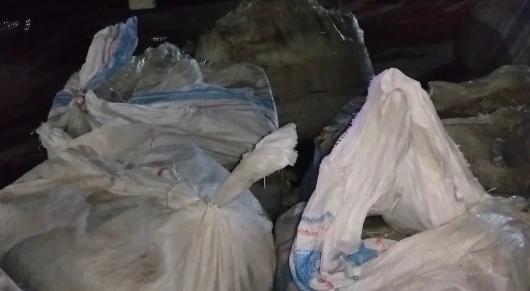 পটুয়াখালীতে বাস থেকে ২৮ মণ সামুদ্রিক মাছ জব্দ