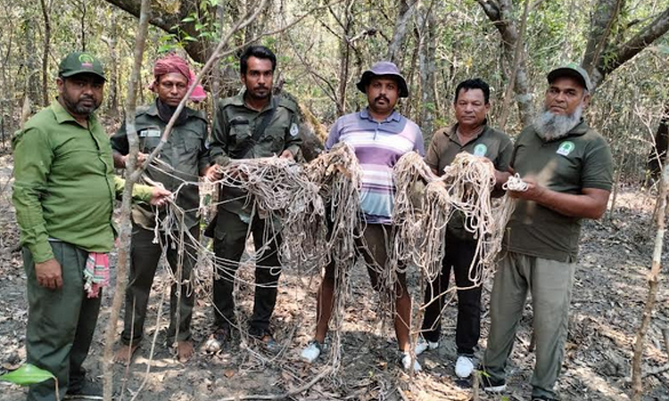 হরিণ শিকার ঠেকাতে সুন্দরবনে চিরুনি অভিযান চলছে