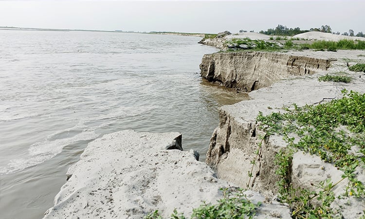 টাঙ্গাইলের ভূঞাপুরে শুরু হয়েছে তীব্র নদী ভাঙন