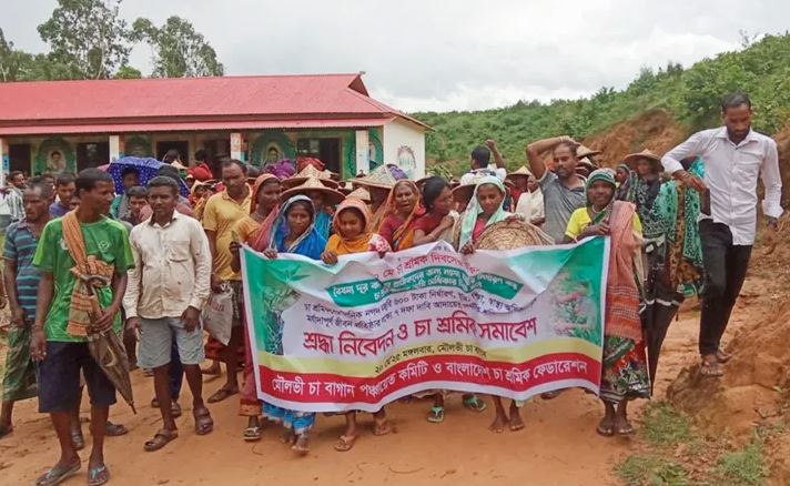 মৌলভীবাজারে চা শ্রমিক দিবস পালিত