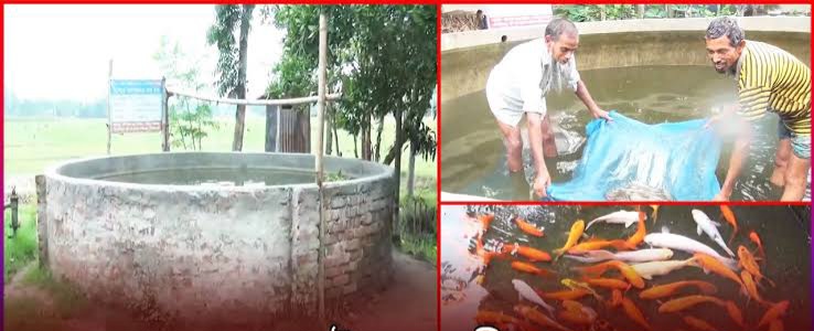 বাড়ির আঙিনায় দেশীয় প্রজাতির মাছ চাষে সফল পার্বতীপুরের চাষিরা 