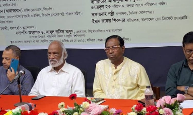 সঙ্কট সমাধানের একমাত্র পথ হলো গণতান্ত্রিক উত্তরণ: ড. মঈন খান