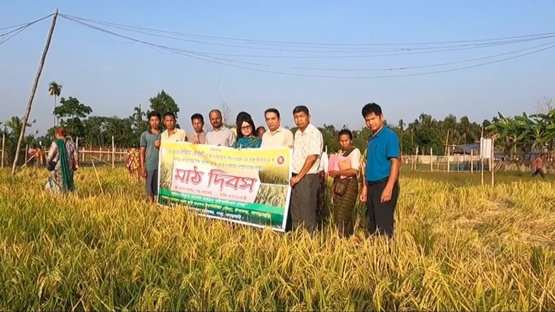 খাগড়াছড়িতে বোরোর ফলনে খুশি কৃষক