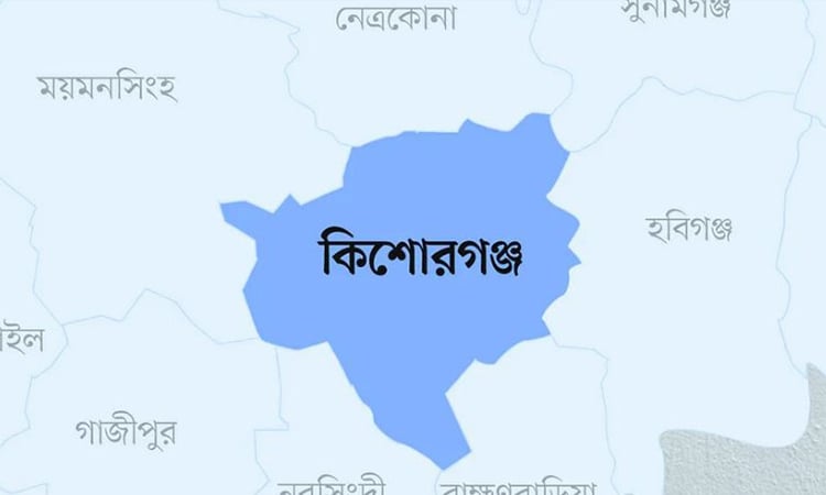 কিশোরগঞ্জে বিদ্যুৎস্পৃষ্ট হয়ে এক নারীর মৃত্যু