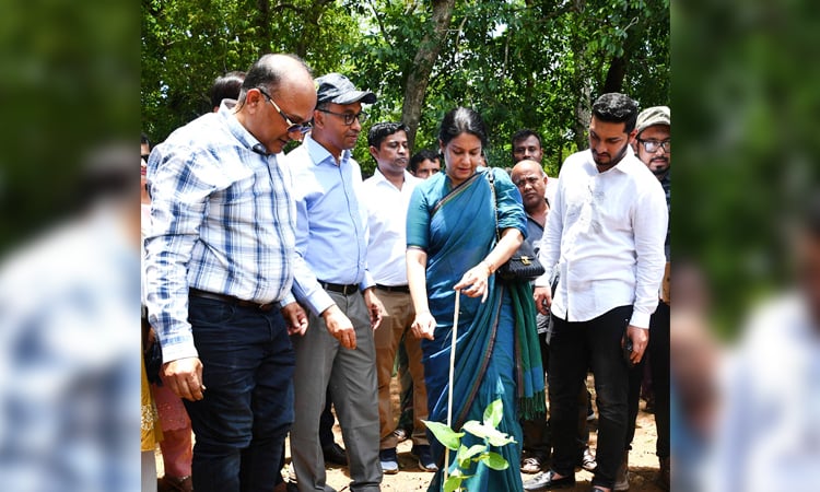 শালবনে শুধু শালগাছই থাকবে, কোনো বিদেশি গাছ নয় : পরিবেশ উপদেষ্টা