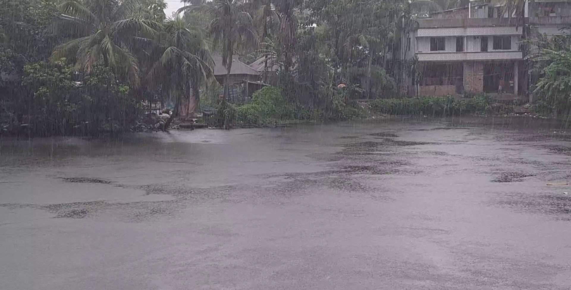 নিম্নচাপের প্রভাবে লক্ষ্মীপুর জেলা জুড়ে বৃষ্টি অব্যাহত
