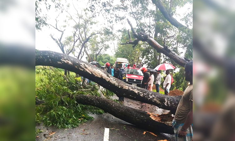 পাহাড় ধসের শঙ্কায় রাঙ্গামাটিতে প্রশাসনের সতর্কতা জারি