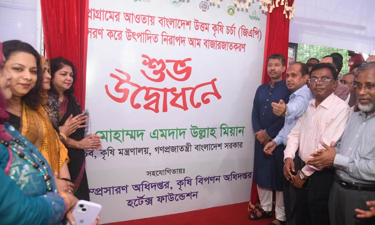 আম উৎপাদনে উত্তম কৃষি চর্চা সারা দেশে ছড়িয়ে দিতে হবে: কৃষি সচিব