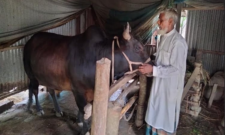 দেশীয়দের মধ্যে খ্যাতির শীর্ষে নাগরপুরের ‘কালা বাবু’  