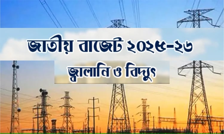 জ্বালানি ও বিদ্যুৎখাতে ২২ হাজার ৫২০ কোটি টাকা বরাদ্দের প্রস্তাব