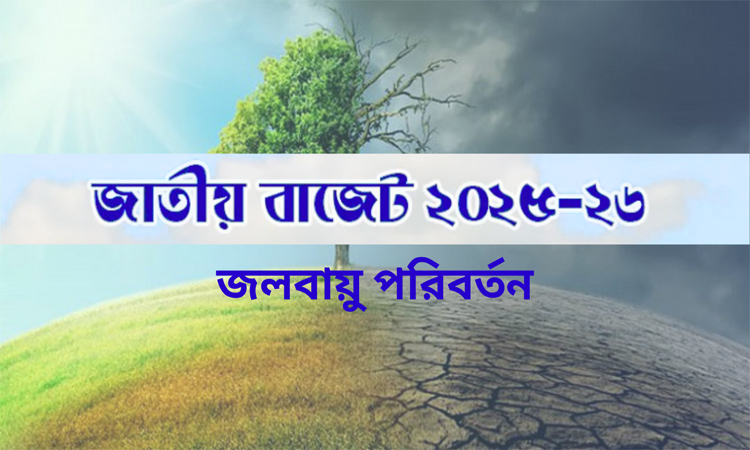 জলবায়ু পরিবর্তনের ঝুঁকি মোকাবেলায় ১০০ কোটি টাকা বরাদ্দের প্রস্তাব