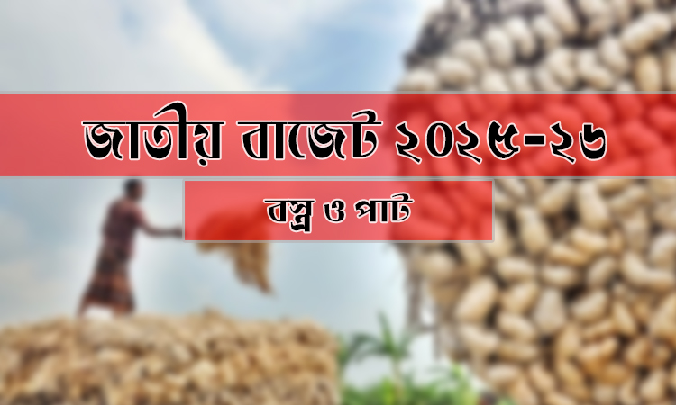 বস্ত্র ও পাট খাতে ৪৮০ কোটি টাকা বরাদ্দের প্রস্তাব