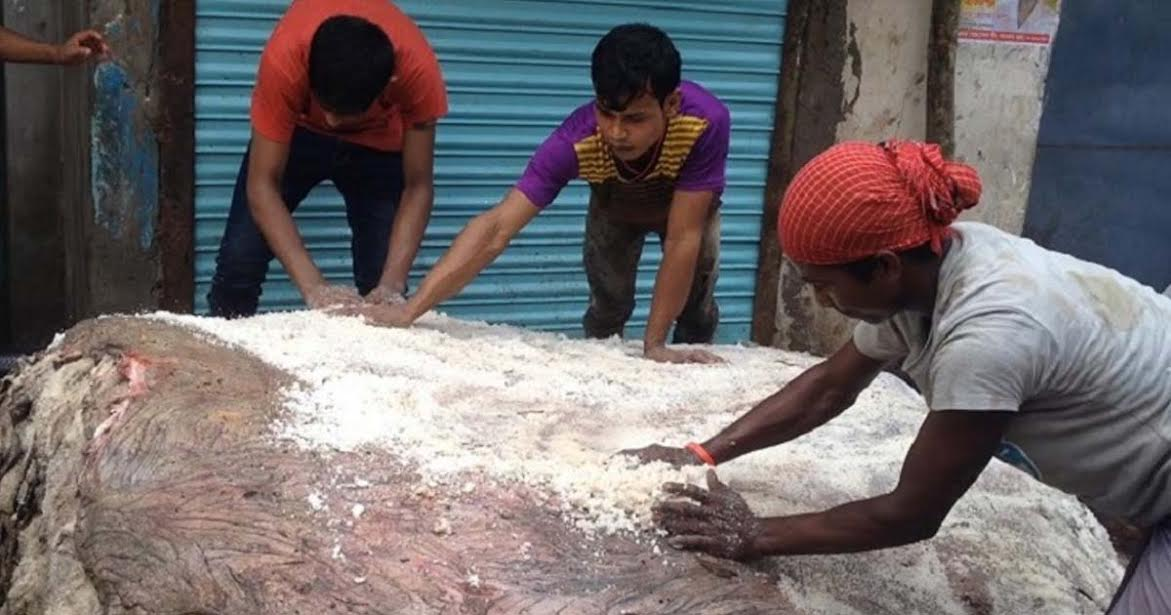চট্টগ্রামে কোরবানির পশুর চামড়া সংগ্রহের লক্ষ্যমাত্রা ৪ লাখ 