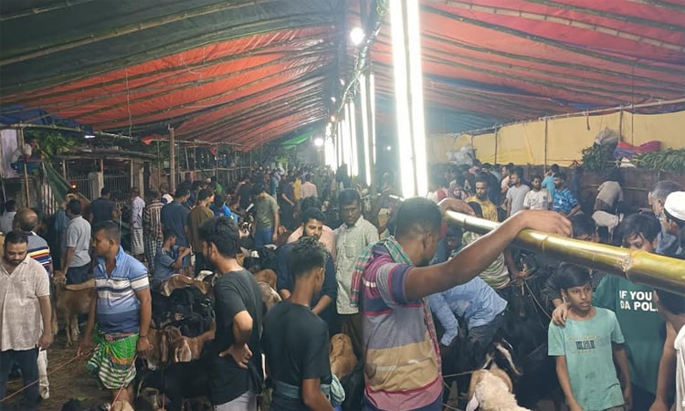 শেষ সময়ে সরগরম ধোলাইখাল ও কমলাপুর পশুর হাট