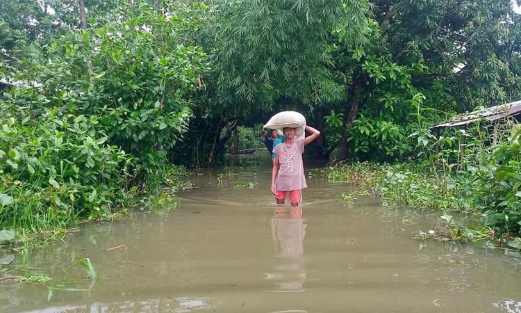 আগামী ২৪ ঘণ্টায় চিলমারী ও ফুলছড়িসহ ৪ স্টেশনে পানি সতর্কসীমায় প্রবাহিত হতে পারে