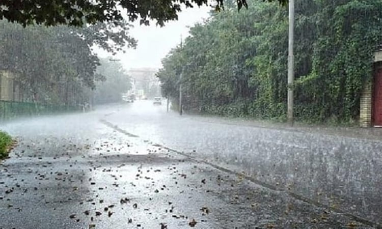সপ্তাহের শেষে বৃষ্টিপাতের প্রবণতা বাড়তে পারে; কমবে দিন ও রাতের তাপমাত্রা 