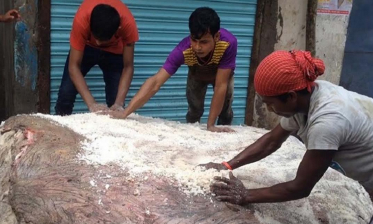 চট্টগ্রামে ৭ লক্ষ ৭৪ হাজার চামড়া সংরক্ষণ করা হয়েছে